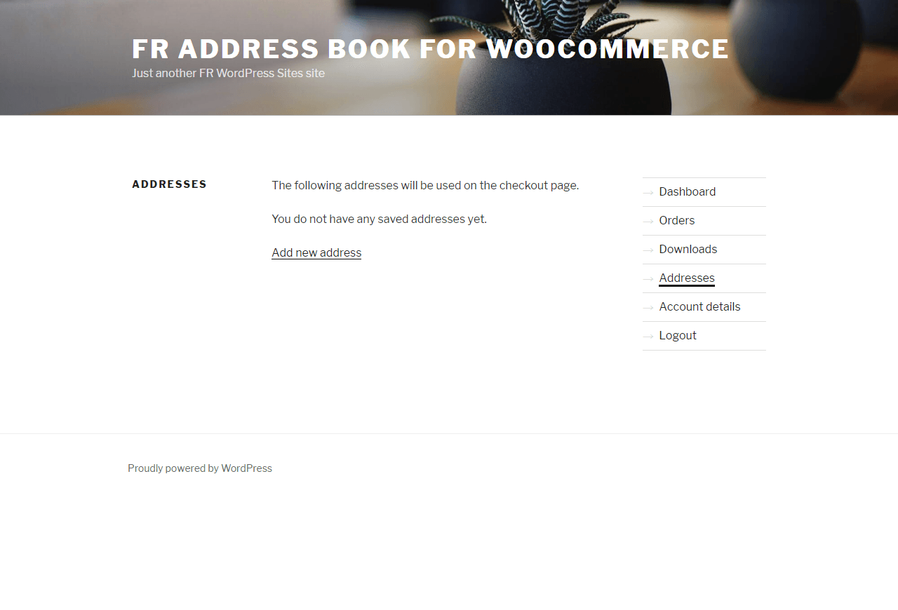 Addresses page without addresses yet